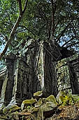 Angkor - ruins of Beng Mealea